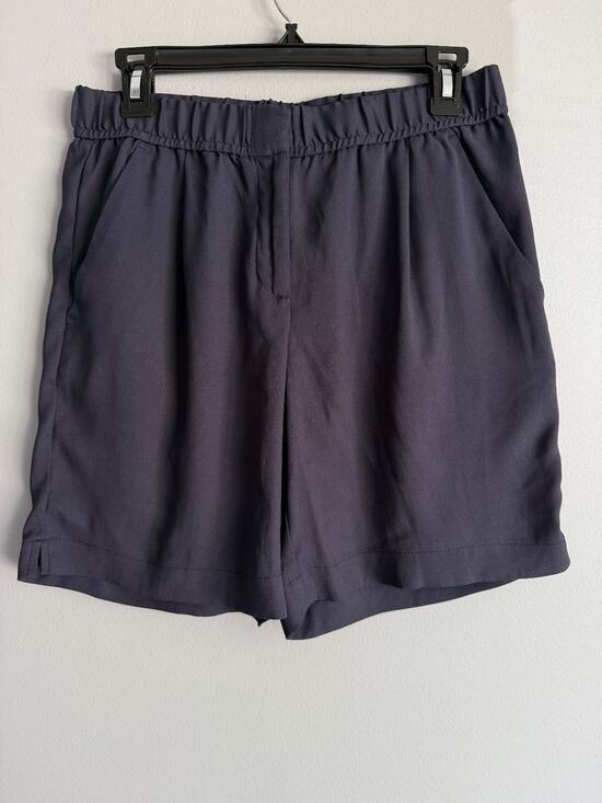 Ann Taylor Pants - Ann Taylor LOFT Tailored Shorts Size 4 Navy Pleated Office Business Casual
